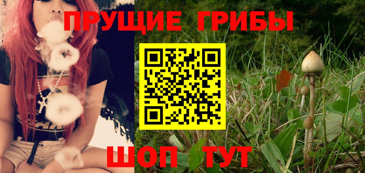 Галлюциногенные грибы GOLDEN TEACHER Можайск